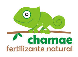 Chamae Organic Liquid Fertilizer 1 Litre Bastana Online Gardens