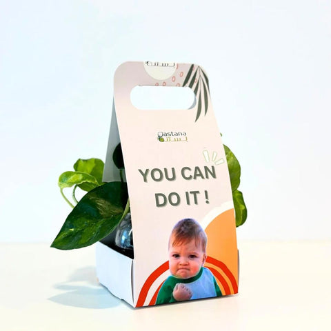 Motivational gift -  Pothos plant.