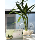 lucky Bamboo gift